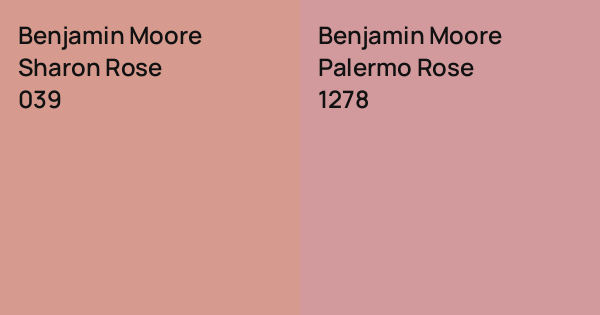 Benjamin Moore Sharon Rose vs. Benjamin Moore Palermo Rose comparison