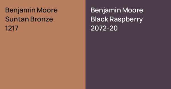 Benjamin Moore Suntan Bronze vs. Benjamin Moore Black Raspberry comparison