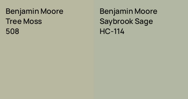 Benjamin Moore Tree Moss vs. Benjamin Moore Saybrook Sage comparison