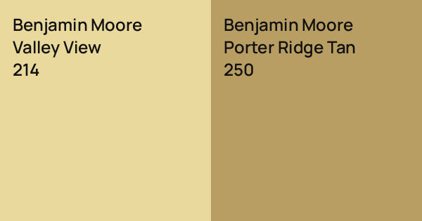 Benjamin Moore Valley View vs. Benjamin Moore Porter Ridge Tan comparison