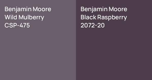 Benjamin Moore Wild Mulberry vs. Benjamin Moore Black Raspberry comparison