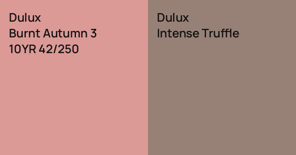 Dulux Burnt Autumn 3 vs. Dulux Intense Truffle comparison