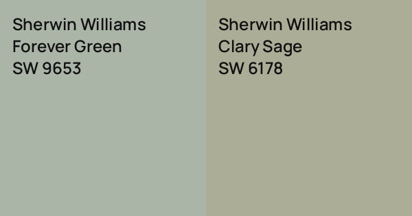 Sherwin Williams Forever Green vs. Sherwin Williams Clary Sage comparison