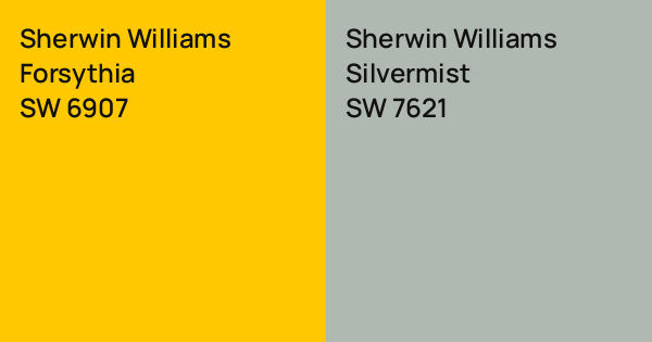 Sherwin Williams Forsythia vs. Sherwin Williams Silvermist comparison