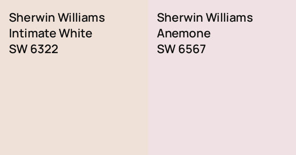Sherwin Williams Intimate White vs. Sherwin Williams Anemone comparison