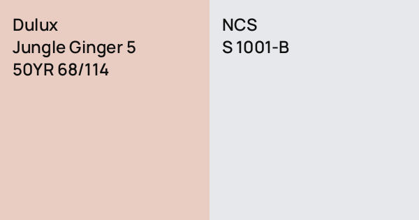 Dulux Jungle Ginger 5 vs. NCS S 1001-B comparison