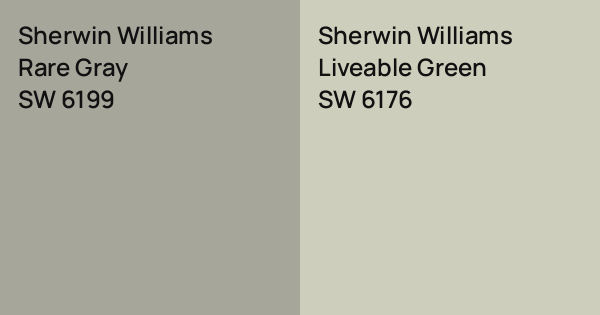 Rare Gray Sherwin Williams
