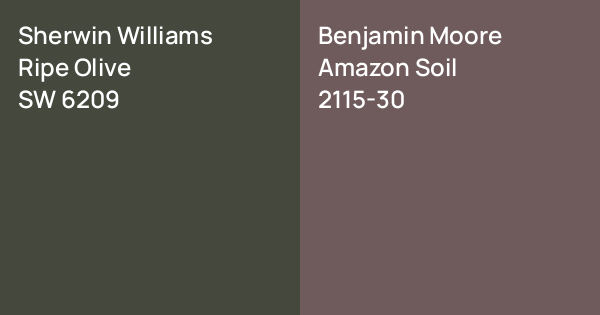 Sherwin Williams Ripe Olive vs. Benjamin Moore Amazon Soil comparison