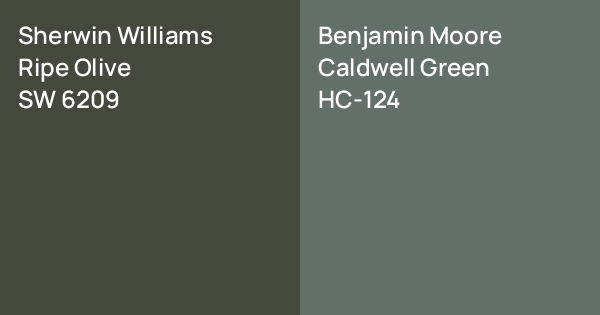 Sherwin Williams Ripe Olive vs. Benjamin Moore Caldwell Green comparison