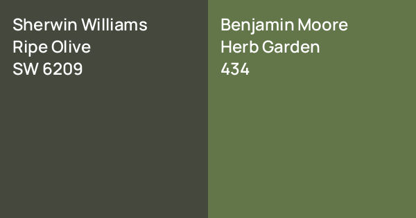 Sherwin Williams Ripe Olive vs. Benjamin Moore Herb Garden comparison