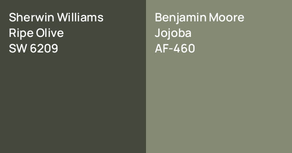 Sherwin Williams Ripe Olive vs. Benjamin Moore Jojoba comparison