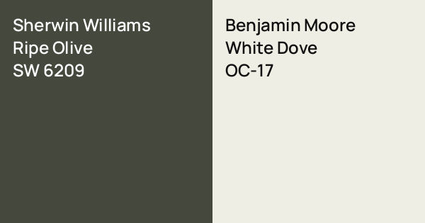 Sherwin Williams Ripe Olive vs. Benjamin Moore White Dove comparison