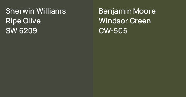 Sherwin Williams Ripe Olive vs. Benjamin Moore Windsor Green comparison