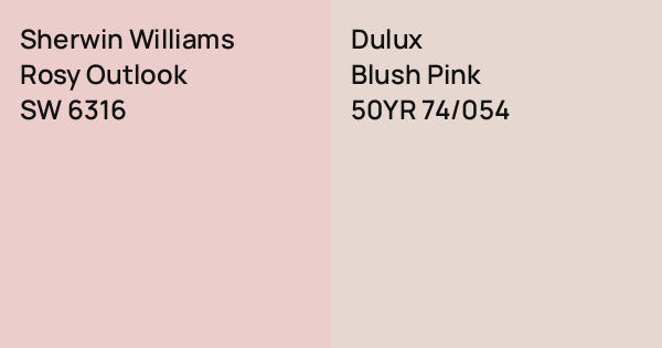 Sherwin Williams Rosy Outlooknull