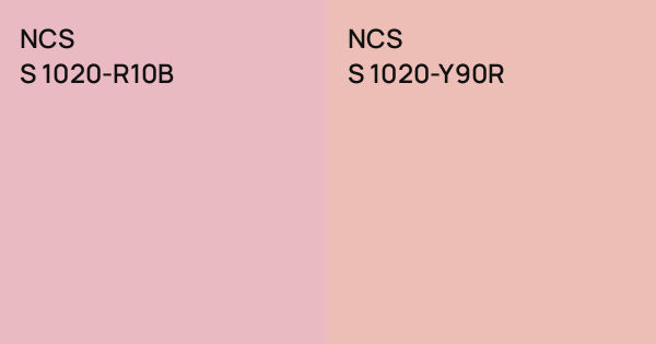 NCS S 1020-R10B vs. NCS S 1020-Y90R comparison