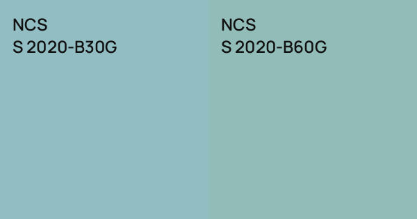 NC2020 main image 1