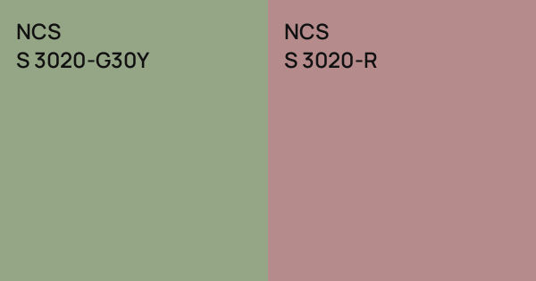 NCS S 3020-G30Y vs. NCS S 3020-R comparison