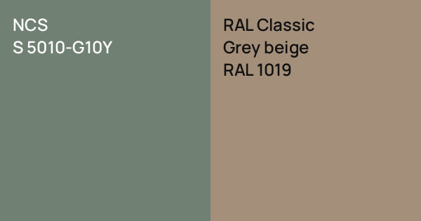NCS S 5010-G10Y vs. RAL Classic Grey beige comparison
