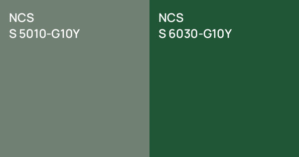 NCS S 5010-G10Y vs. NCS S 6030-G10Y comparison