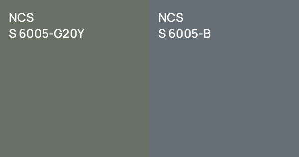 NCS S 6005-G20Y vs. NCS S 6005-B comparison