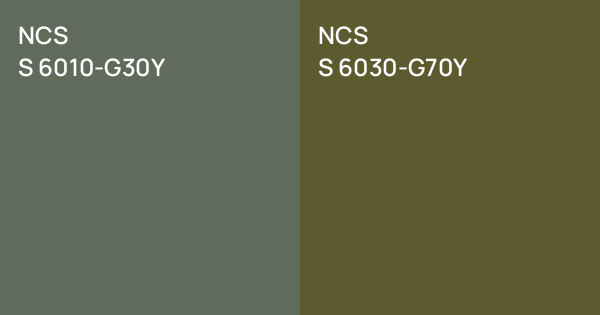 NCS S 6010-G30Y vs. NCS S 6030-G70Y comparison