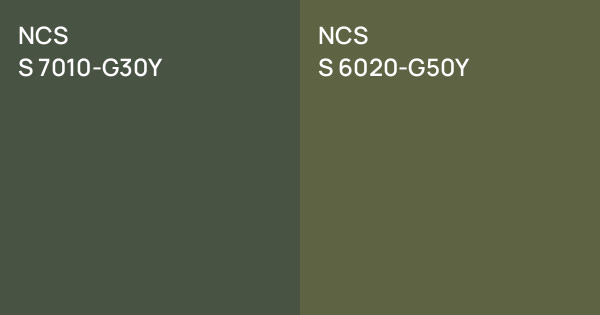 NCS S 7010-G30Y vs. NCS S 6020-G50Y comparison