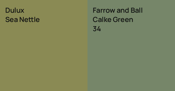 Dulux Sea Nettle vs. Farrow and Ball Calke Green comparison