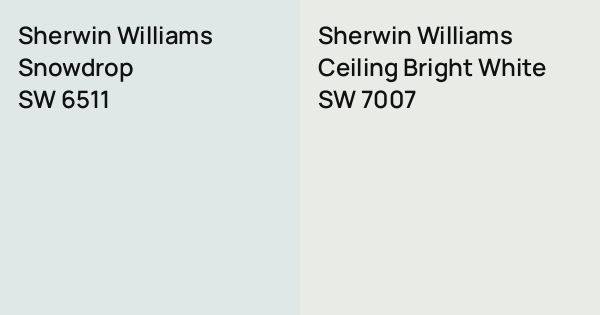 Sherwin Williams Snowdrop vs. Sherwin Williams Ceiling Bright White ...