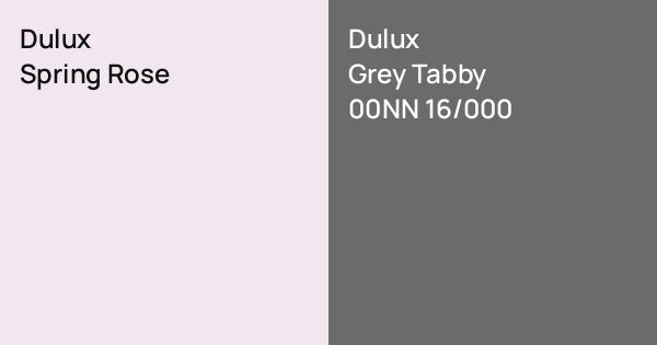 Spring Rose Color Dulux Spring Rose vs. Dulux Grey Tabby comparison