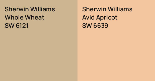 Sherwin Williams Whole Wheat vs. Sherwin Williams Avid Apricot comparison