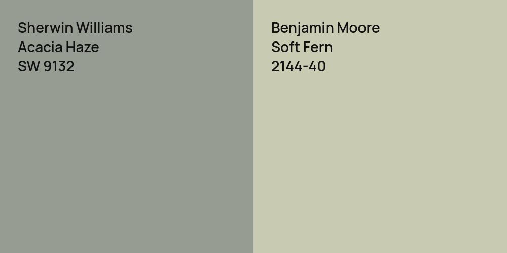 Sherwin Williams Acacia Haze vs. Benjamin Moore Soft Fern