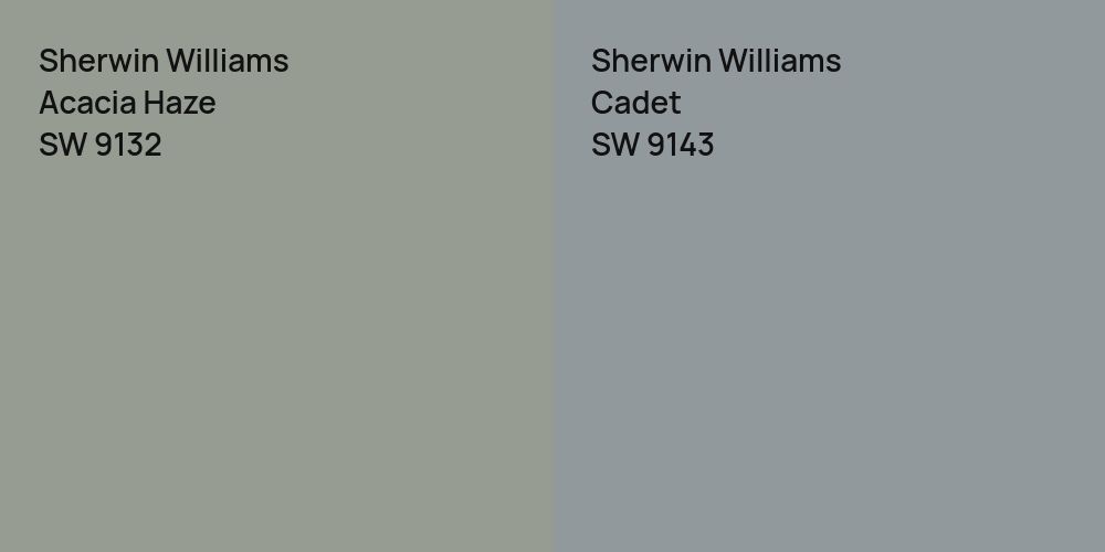 Sherwin Williams Acacia Haze vs. Sherwin Williams Cadet