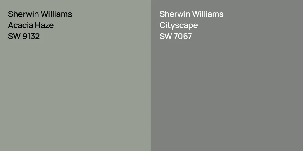 Sherwin Williams Acacia Haze vs. Sherwin Williams Cityscape