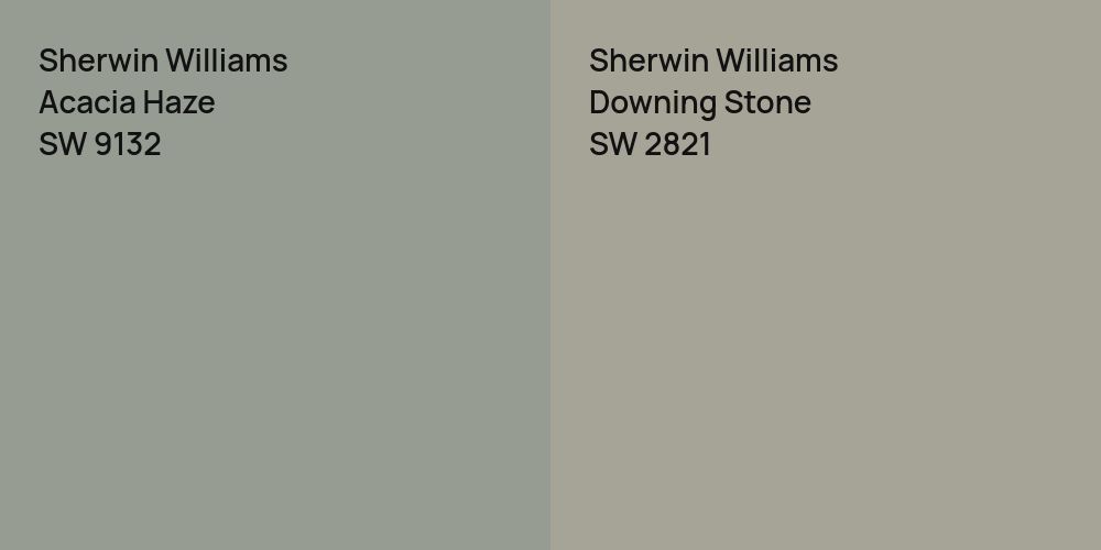 Sherwin Williams Acacia Haze vs. Sherwin Williams Downing Stone