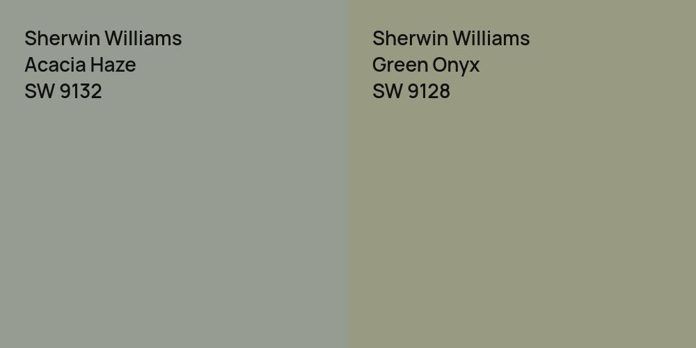 Sherwin Williams Acacia Haze vs. Sherwin Williams Green Onyx