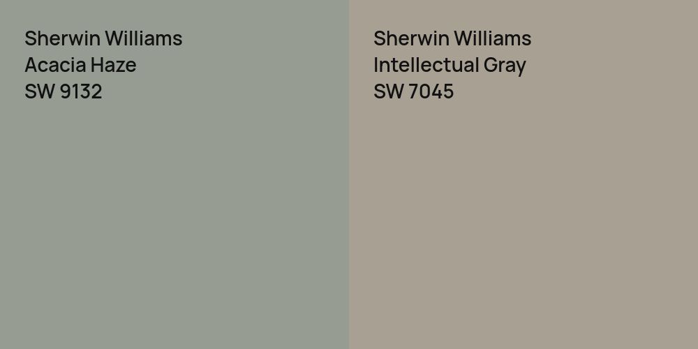 Sherwin Williams Acacia Haze vs. Sherwin Williams Intellectual Gray