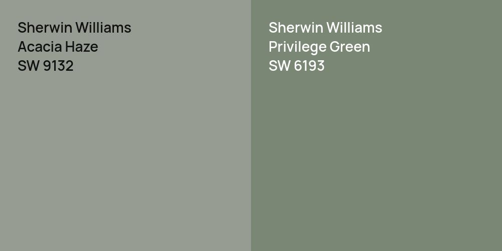 Sherwin Williams Acacia Haze vs. Sherwin Williams Privilege Green