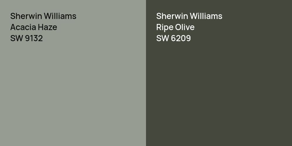 Sherwin Williams Acacia Haze vs. Sherwin Williams Ripe Olive