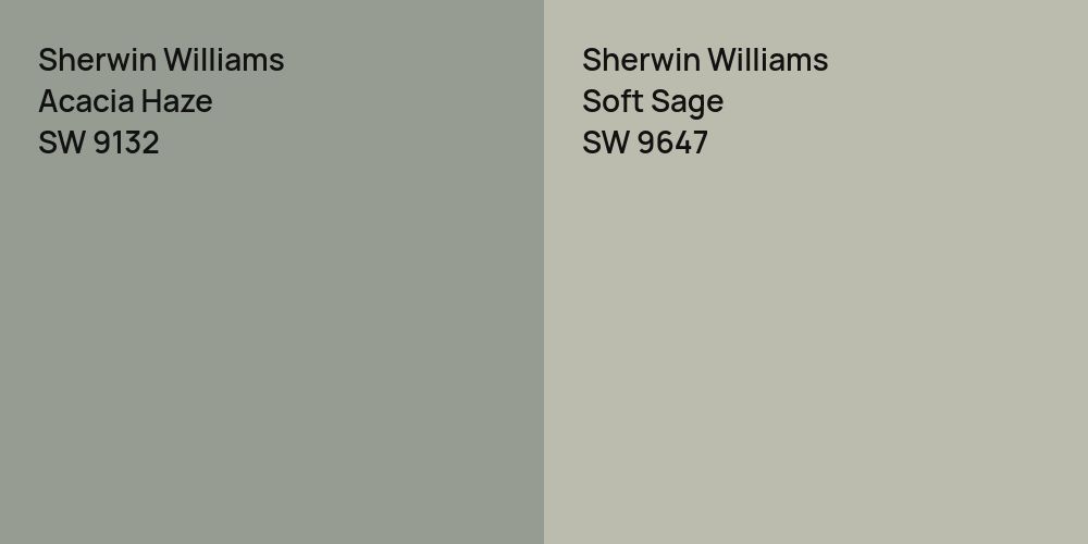 Sherwin Williams Acacia Haze vs. Sherwin Williams Soft Sage