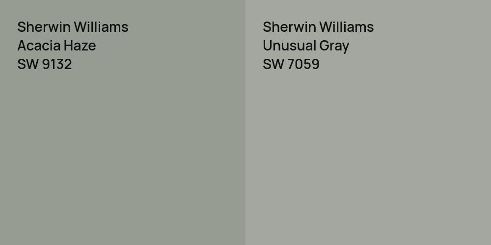 Sherwin Williams Acacia Haze vs. Sherwin Williams Unusual Gray