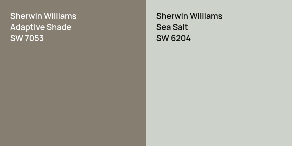 Sherwin Williams Adaptive Shade vs. Sherwin Williams Sea Salt