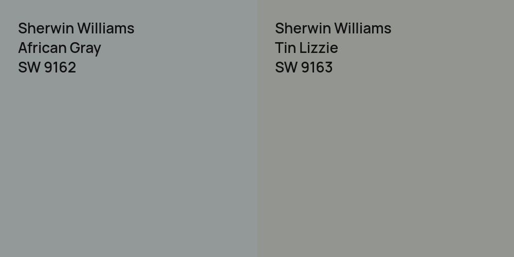 Sherwin Williams African Gray vs. Sherwin Williams Tin Lizzie