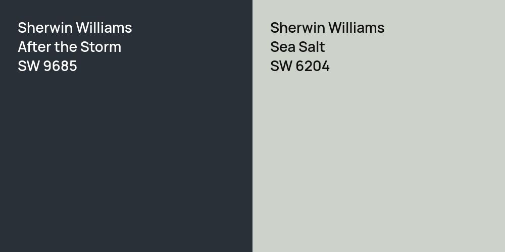 Sherwin Williams After the Storm vs. Sherwin Williams Sea Salt