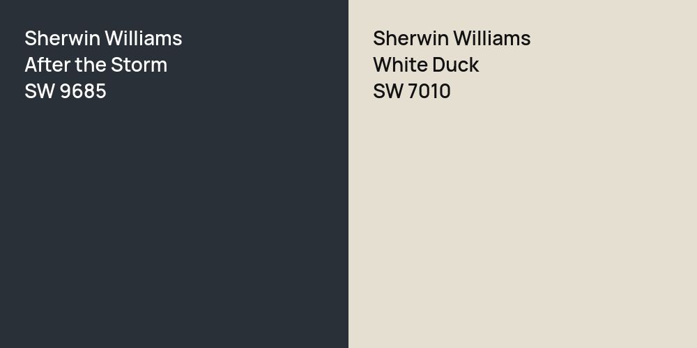 Sherwin Williams After the Storm vs. Sherwin Williams White Duck