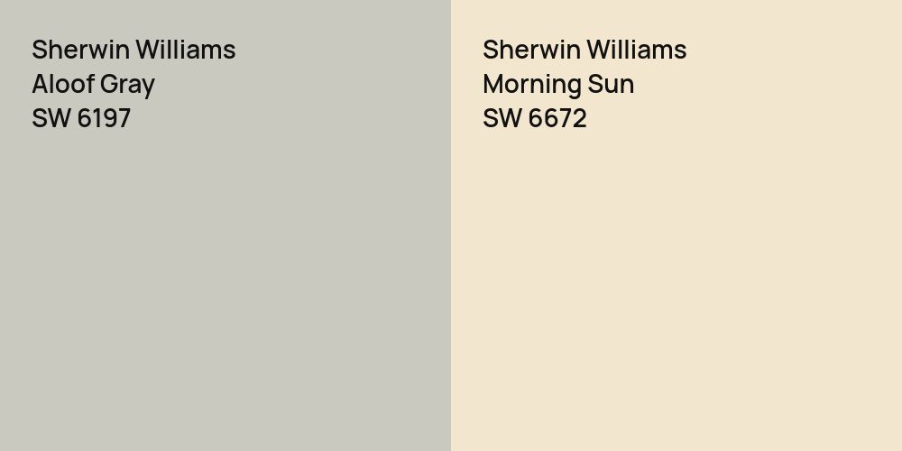 Sherwin Williams Aloof Gray vs. Sherwin Williams Morning Sun