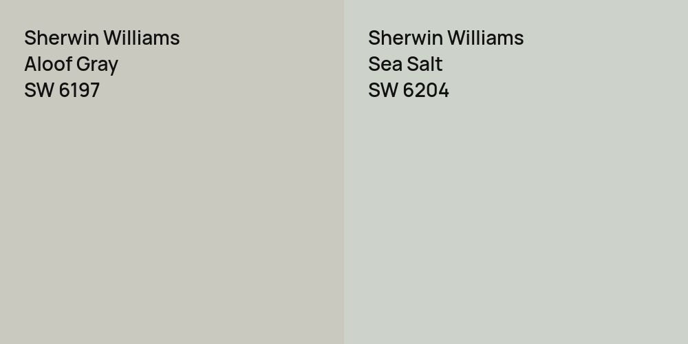 Sherwin Williams Aloof Gray vs. Sherwin Williams Sea Salt