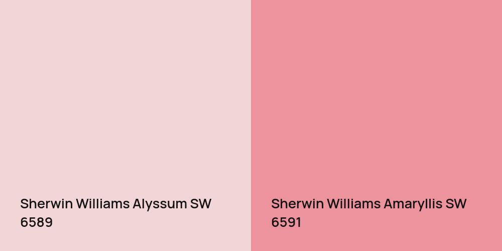 Sherwin Williams Alyssum vs. Sherwin Williams Amaryllis