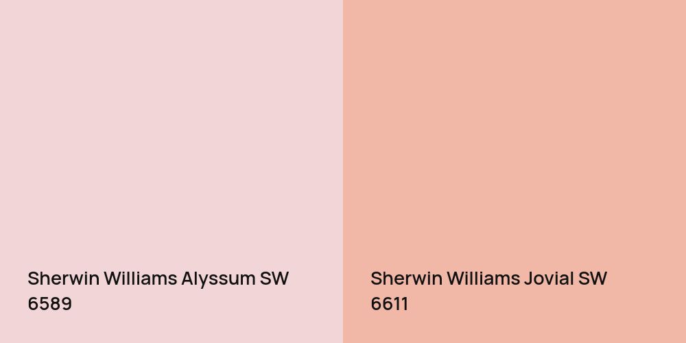 Sherwin Williams Alyssum vs. Sherwin Williams Jovial