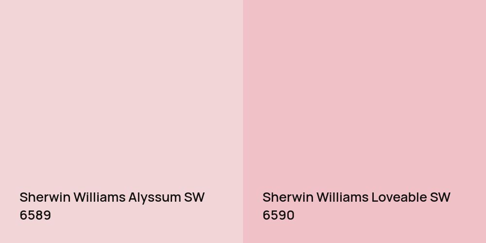 Sherwin Williams Alyssum vs. Sherwin Williams Loveable