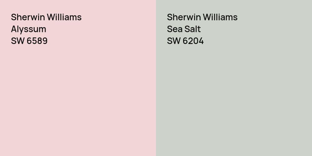 Sherwin Williams Alyssum vs. Sherwin Williams Sea Salt